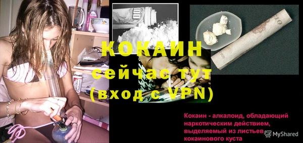 твердый Балахна