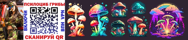 наркотики  blacksprut ссылка  Галлюциногенные грибы Cubensis  Пересвет 