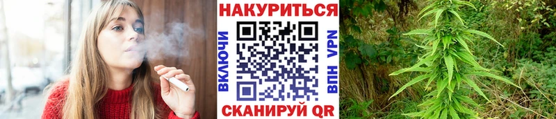 дарнет шоп  Пересвет  Конопля SATIVA & INDICA 